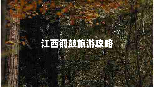 江西銅鼓旅游攻略