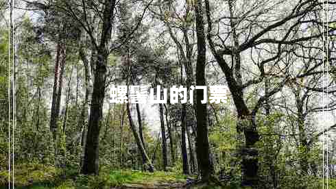 螺髻山的門(mén)票