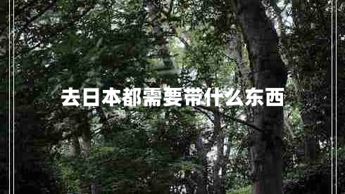 去日本都需要帶什么東西 去日本都需要帶什么東西