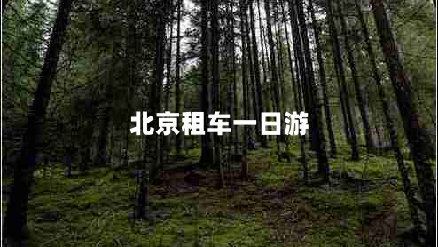 北京租車(chē)一日游