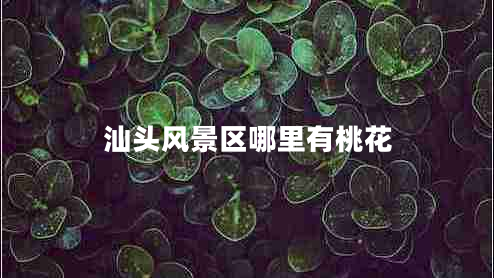 汕頭風(fēng)景區哪里有桃花