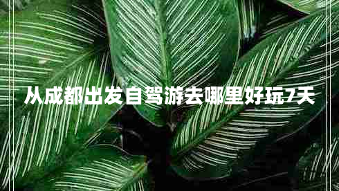 從成都出發(fā)自駕游去哪里好玩7天 從成都出發(fā)自駕游去哪里好玩7天