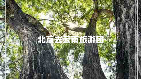 北京去云南旅游團