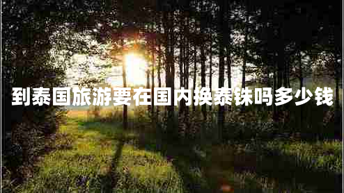 到泰國旅游要在國內換泰銖嗎多少錢(qián)