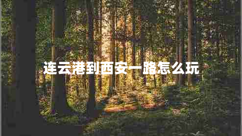 連云港到西安一路怎么玩