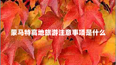 蒙馬特高地旅游注意事項是什么