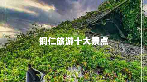 銅仁旅游十大景點(diǎn)