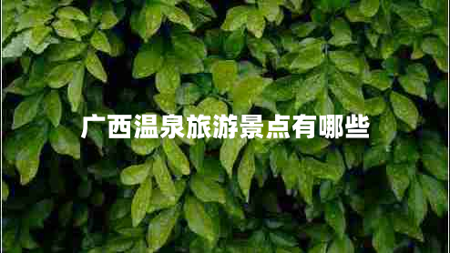 廣西溫泉旅游景點(diǎn)有哪些