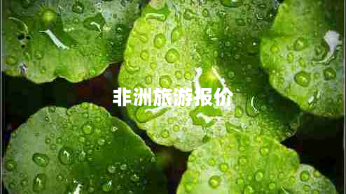 非洲旅游報價(jià)