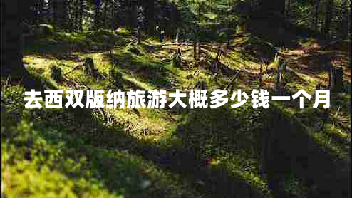 去西雙版納旅游大概多少錢(qián)一個(gè)月