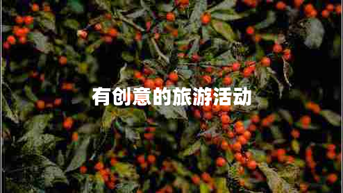有創(chuàng  )意的旅游活動(dòng)