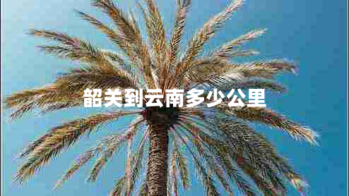 韶關(guān)到云南多少公里