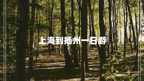 上海到揚州一日游