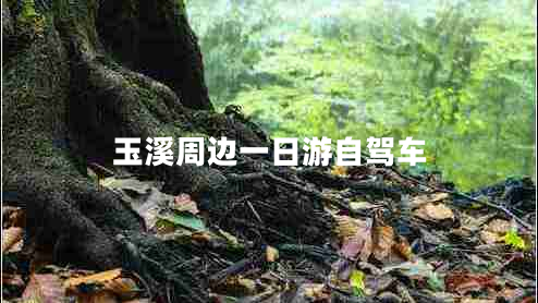 玉溪周邊一日游自駕車(chē)