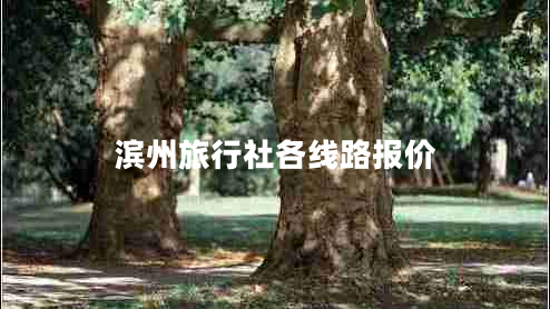 濱州旅行社各線(xiàn)路報價(jià)