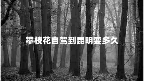 攀枝花自駕到昆明要多久