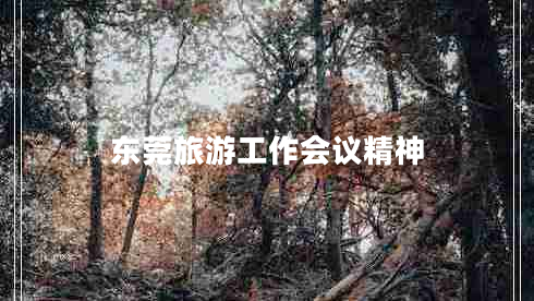 東莞旅游工作會(huì )議精神