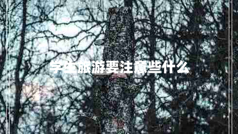 學(xué)生旅游要注意些什么