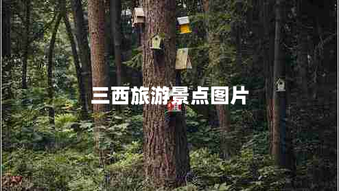 三西旅游景點(diǎn)圖片 三西旅游景點(diǎn)圖片