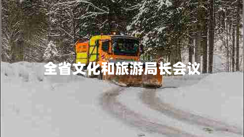 全省文化和旅游局長(cháng)會(huì )議