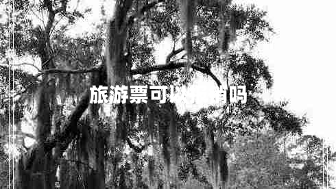 旅游票可以報銷(xiāo)嗎