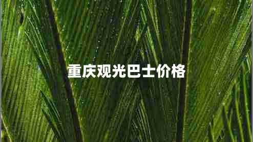 重慶觀(guān)光巴士?jì)r(jià)格