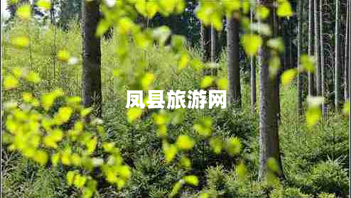 鳳縣旅游網(wǎng)