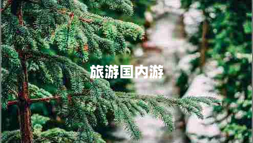 旅游國內游