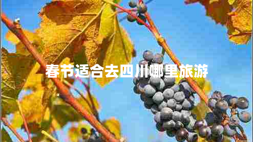 春節適合去四川哪里旅游