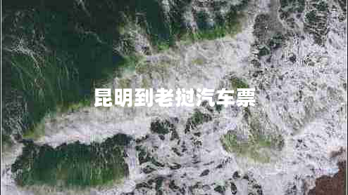 昆明到老撾汽車(chē)票