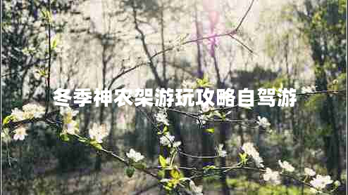 冬季神農架游玩攻略自駕游