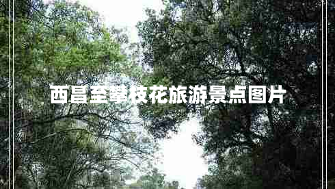 西昌至攀枝花旅游景點(diǎn)圖片