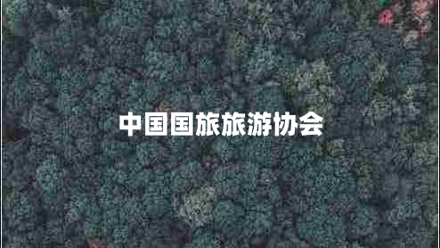中國國旅旅游協(xié)會(huì )