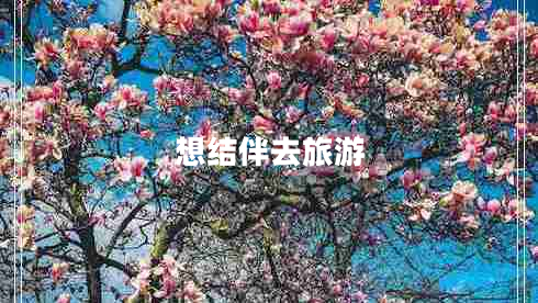 想結伴去旅游