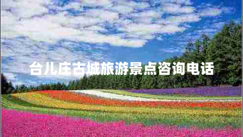 臺兒莊古城旅游景點(diǎn)咨詢(xún)電話(huà)