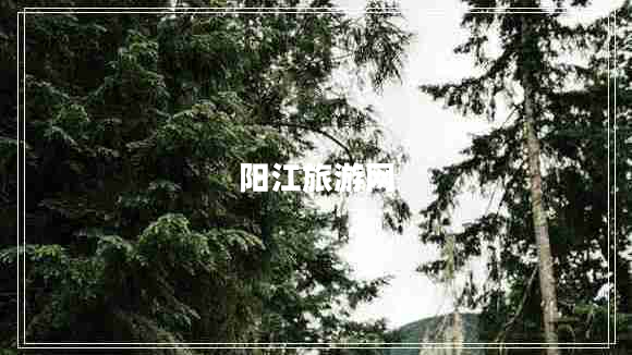 陽(yáng)江旅游網(wǎng)