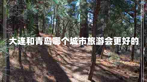 大連和青島哪個(gè)城市旅游會(huì )更好的