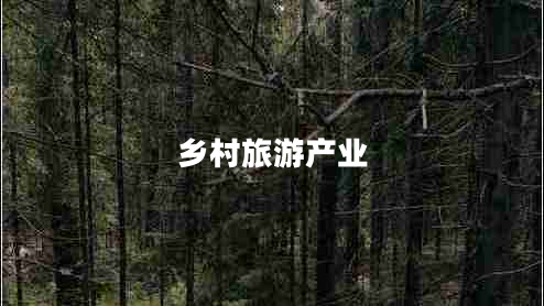 鄉村旅游產(chǎn)業(yè)