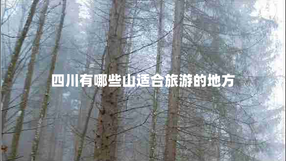 四川有哪些山適合旅游的地方 四川有哪些山適合旅游的地方