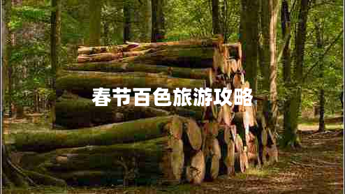 春節百色旅游攻略