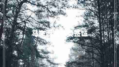 馬來(lái)西亞各類(lèi)簽證 馬來(lái)西亞各類(lèi)簽證