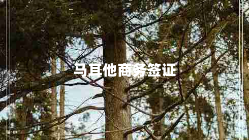 馬耳他商務(wù)簽證