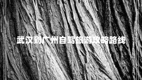 武漢到廣州自駕旅游攻略路線(xiàn)