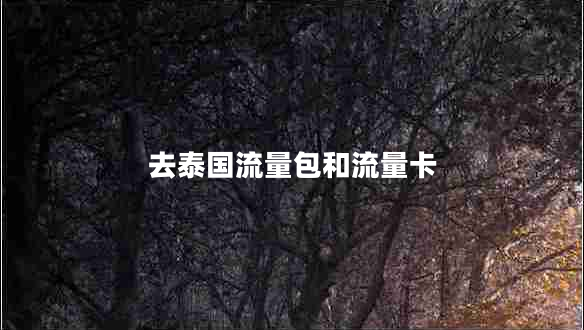 去泰國流量包和流量卡 去泰國流量包和流量卡