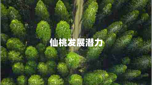 仙桃發(fā)展潛力
