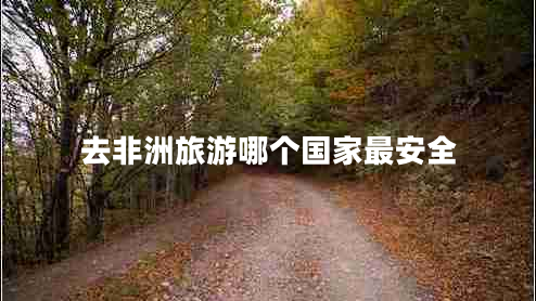 去非洲旅游哪個(gè)國家最安全