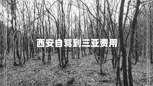 西安自駕到三亞費用