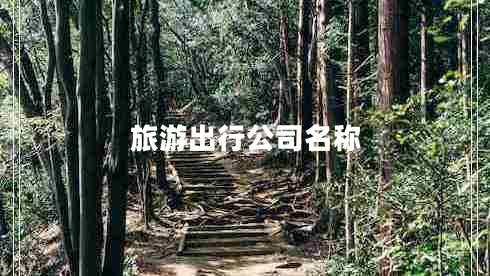 旅游出行公司名稱(chēng)