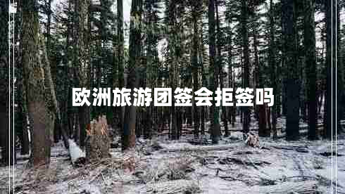 歐洲旅游團簽會(huì )拒簽嗎
