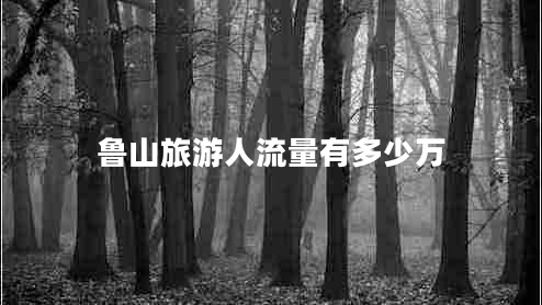 魯山旅游人流量有多少萬(wàn)